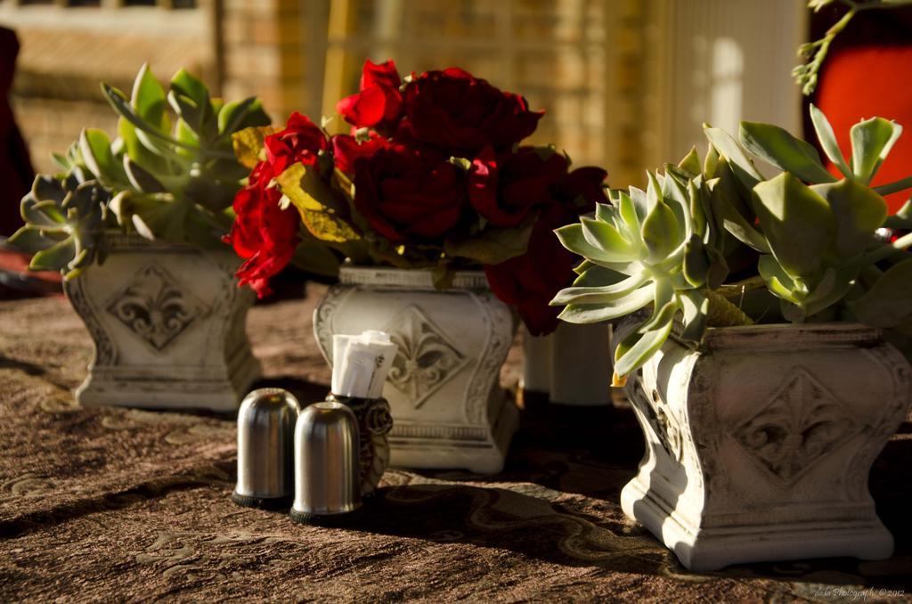 Boubou Bed And Breakfast Rustenburg Eksteriør bilde